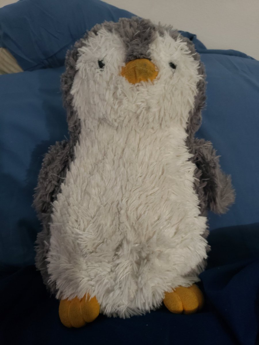 This is Penguino! I got him at the Baltimore aquarium on vacation in 2015! I've worn the color on his beak because he's so soft and nice to sleep with... We spent that summer watching fireworks together and he travels with me a lot.