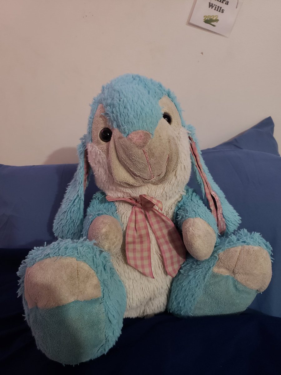 This is Mr. Rabbit! I got him for Easter some years ago, 2016-ish? He needs a bath but that's because he's well loved and I sleep with him often too. his feet are really soft? there's a bonus pic of him too!! he's styling.