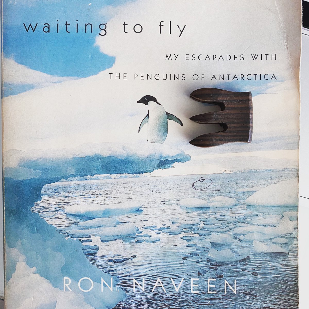 MarekPrice's tweet photo. For World Penguin Day, I recommend the book “Waiting to Fly” written by Ron Naveen, currently the president of @Oceanites tells the rich stories of penguins in Antarctica.
#WorldPenguinDay #SavethePlanet https://t.co/opLgF2hpHZ