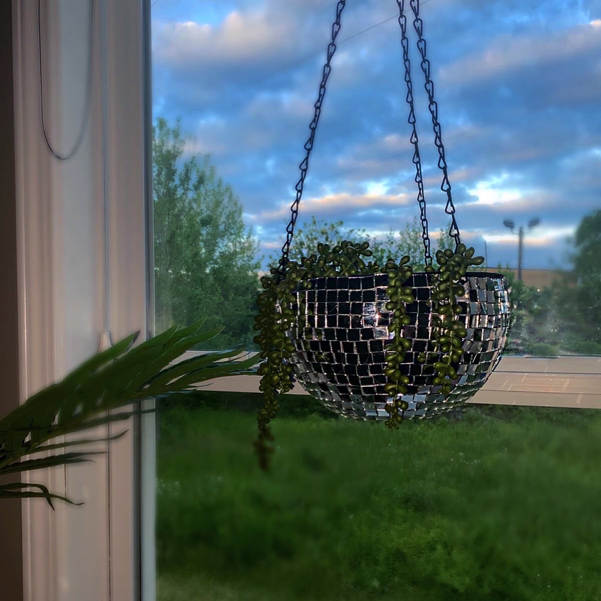 My mini disco hanging planter