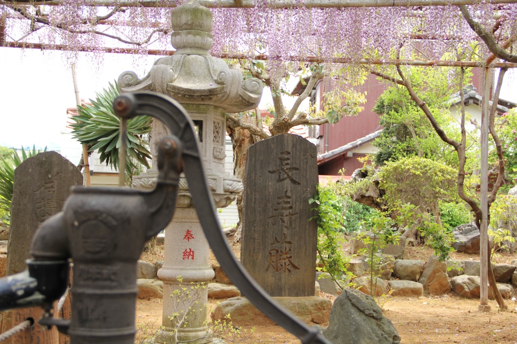 برچسب 高圓寺 در توییتر برچسب 高圓寺 در توییتر