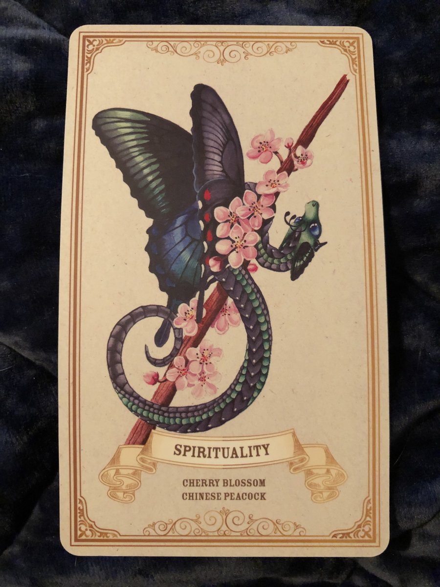 tracimark's tweet image. Be the light. theorlandomillennial.com/2020/04/24/be-…