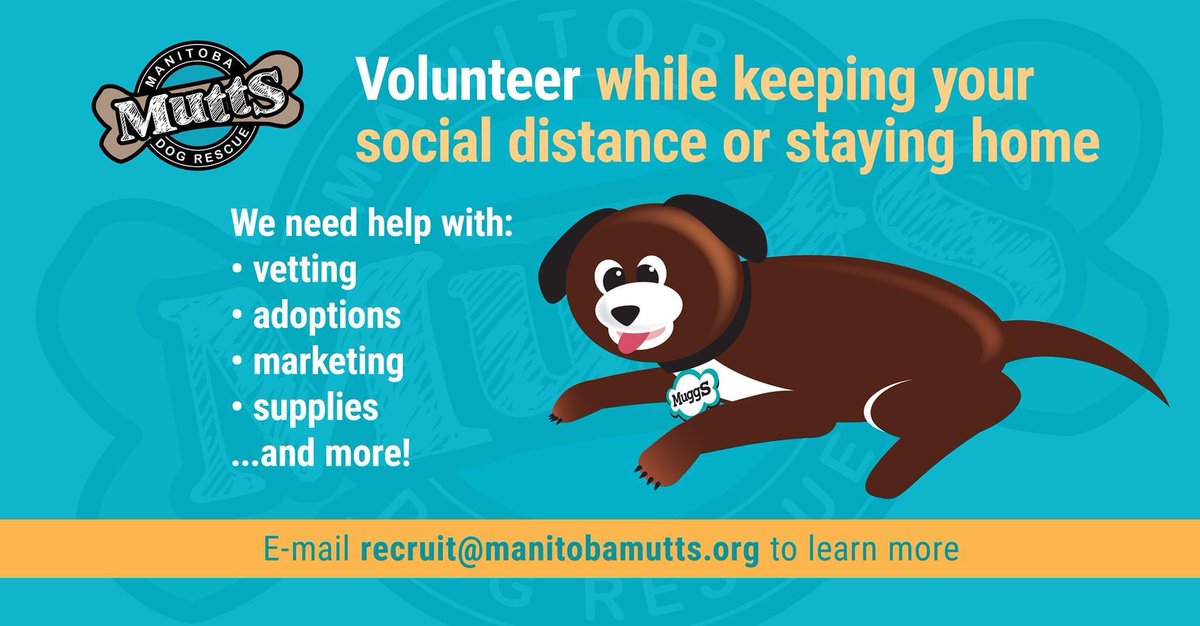 ManitobaMutts's tweet image. 