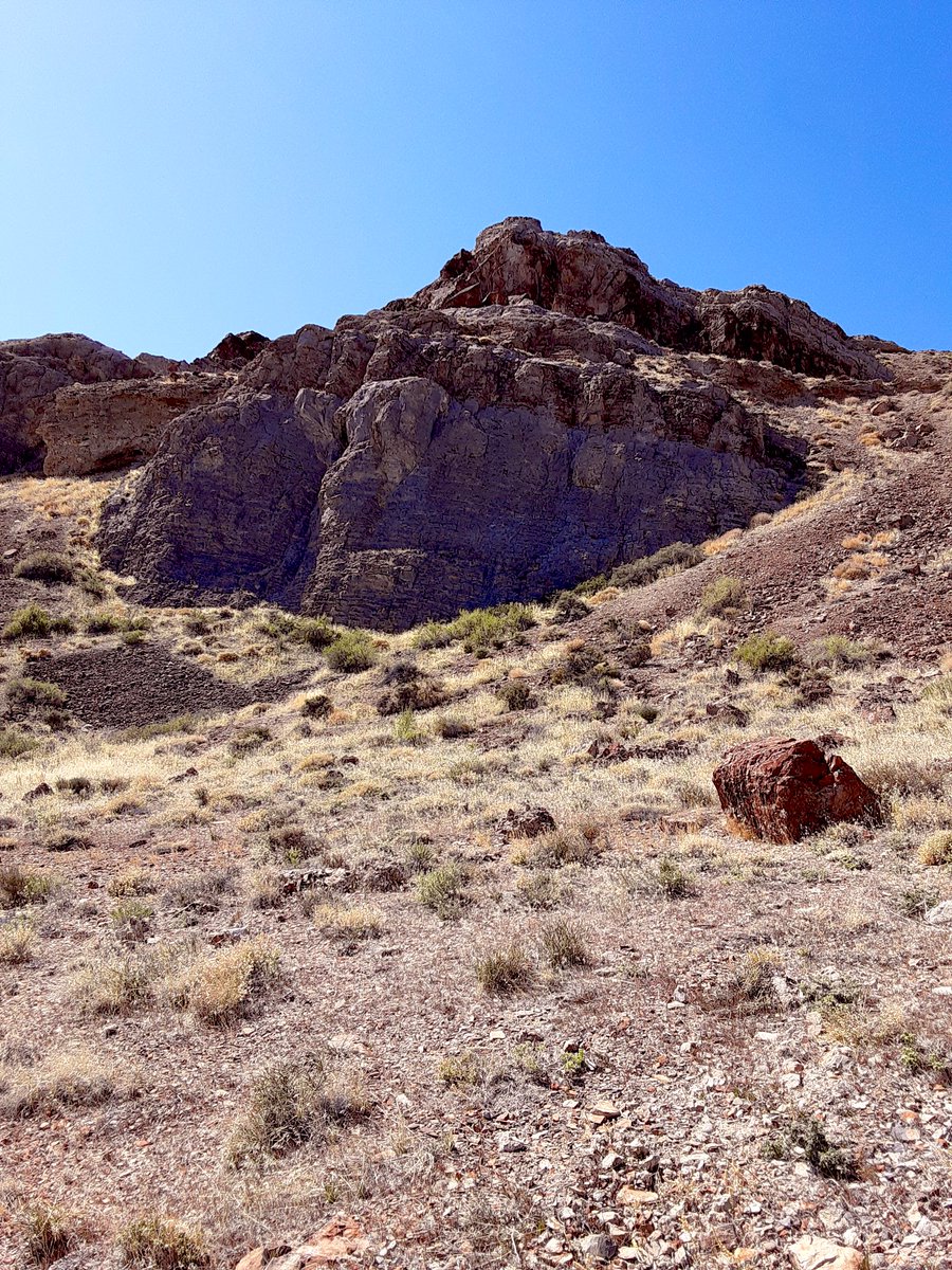 bailey_grimshaw's tweet photo. Just some hikes during this lockdown #freetime #covidsucks https://t.co/h91z6c4Wsf