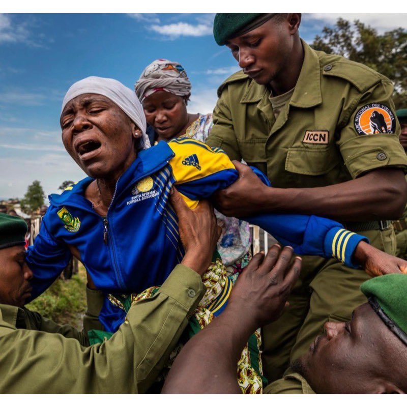 7. Just found out that the FDLR fighters who killed the Virunga National Park rangers shot hundreds of rounds at them...and launched grenades at them. Hundreds of rounds and grenades at 16 park rangers who protect wildlife and the community!! Monsters!!  Brent Stirton