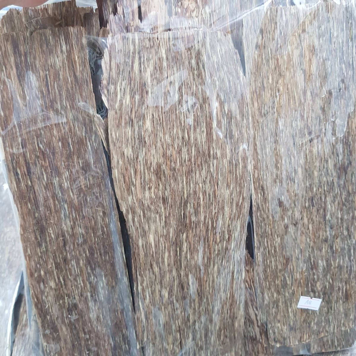 AgarwoodTT's tweet photo. 🌟 Flat oud AB- best price
🌳 Big pieces - Strong Smell
🌳 Thickness 0.8mm
🌺 Buy 3kgs free ship DHL
📞 Contact me at WhatsApp:+84386693735 
#vietnamoud #flatoud #cultivatedoud #oud #bukhoor #bakhoor #saudi #Kuwait #qatar #emirates #oman #yemen #uae #bahrain #mecca https://t.co/SX2DIrOFfL