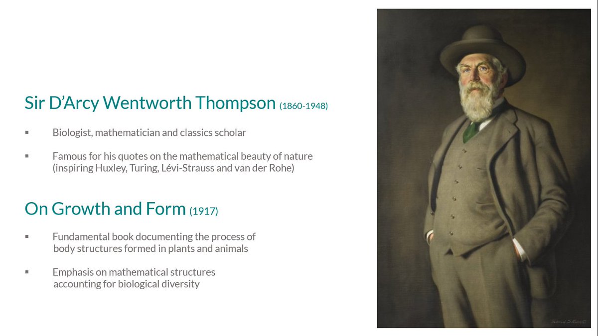 A few hundred years later, we get to the work of biologist, mathematician and cool-name-sounding Sir D'Arcy Wentworth Thompson. His 1917 work On Growth and Form emphasised mathematical structures accounting for biological diversity and shape-change constants... 11/25