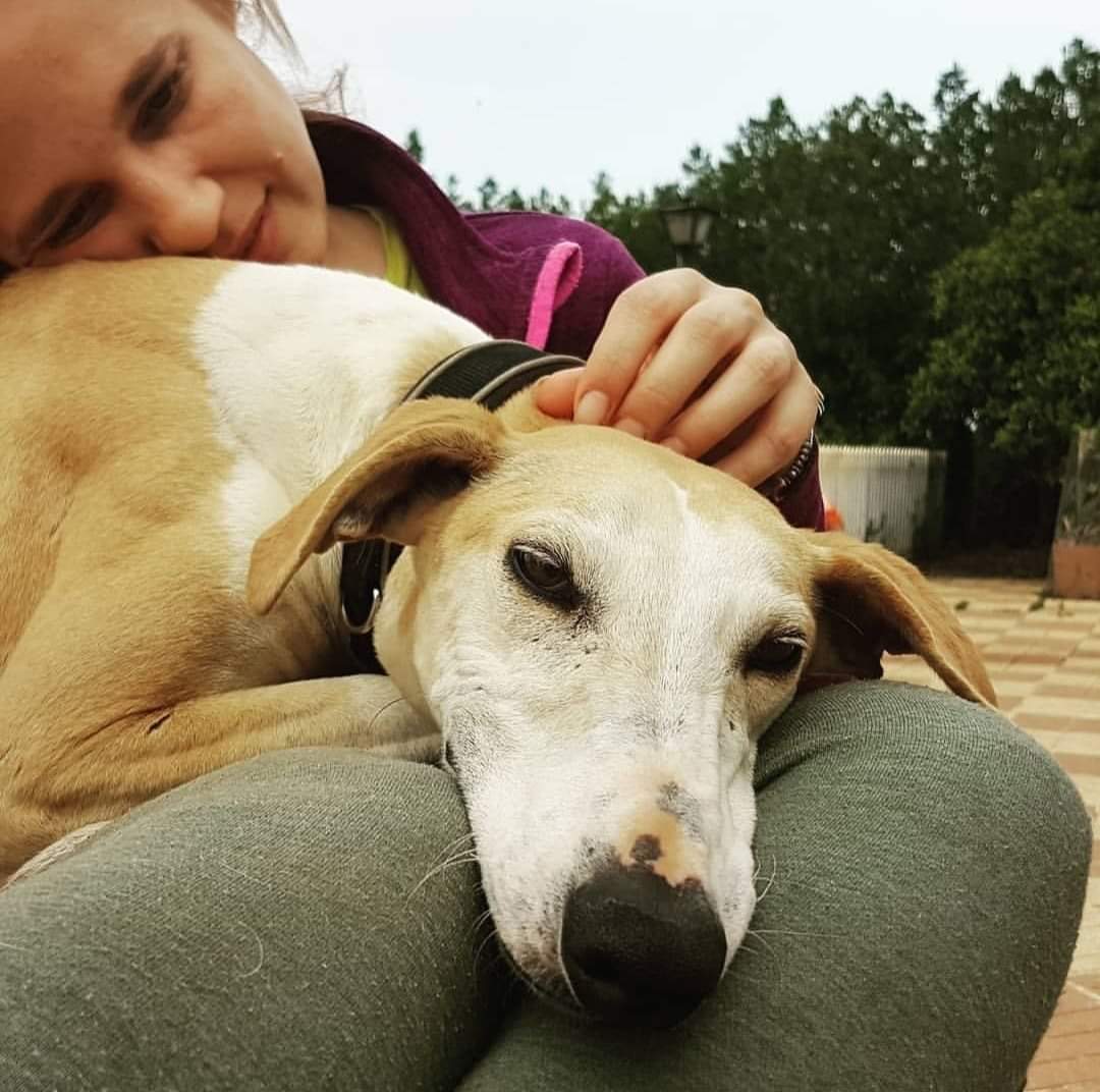 Que no cunda el pánico, ya estamos leyendo cuestionarios y seleccionando con nervios e ilusión a las posibles futuras familias de nuestros niños ❤
Ninguno de los 30 cuestionarios que tenemos es para CHRONOS. ¿Cuánto va a tener que esperar? Lleva más de un año esperando familia😢