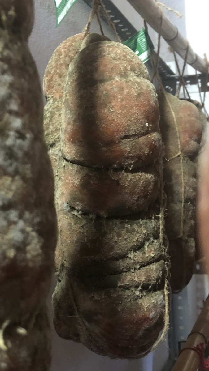 tonipons13's tweet photo. Sobrassada fent el seu procés de curació. 
Sobrasada haciendo su proceso de curación. 
@crestaig.
#capritxod’or #rubiagallega  #llangonissa #sobrassada #embotitsartesans #senselactosa #sensegluten 
#RubiaGallegaPremium #Frisona #Ternera #vinsdequalitat #Sensefiltres #Sapobla https://t.co/SwIo1NALQJ