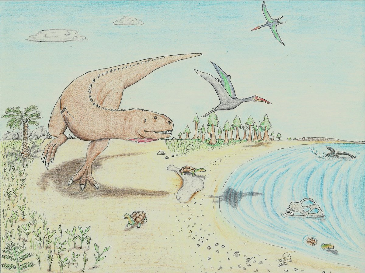 AChimmysaurus's tweet photo. Por si no habéis tenido la oportunidad de verlo en ig, también lo dejo por aquí:
#Cretácico Algoreño (#Guadalajara), by Chimmysaurus.
#Algorachelus #paleoart #theropoda #sauropoda #pterosauria #plesiosauria https://t.co/dOzWBDadkD
