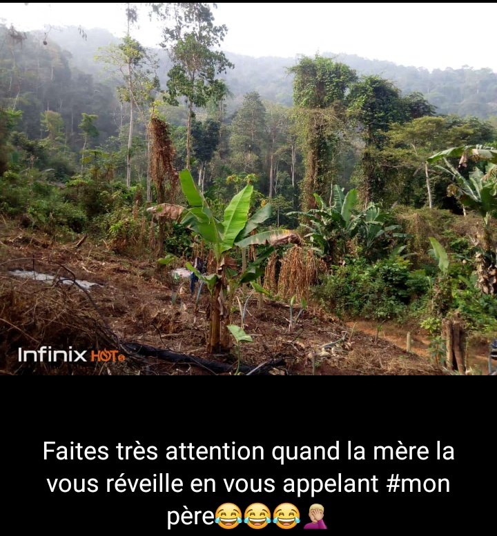 chrys_sk's tweet photo. Faites très attention quand la mère vous réveille le matin en vous appelant : ma mère ou mon père 😂😂😂🤦🏽‍♂️
#lechamps https://t.co/oJ7AvqCtXu