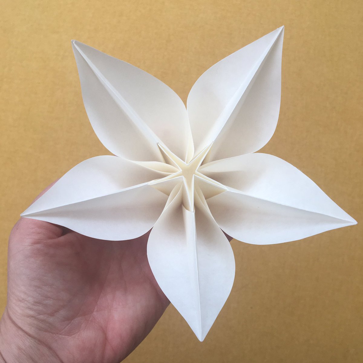 c0mplexnumber's tweet photo. Made an #origami Carambola flower late last night. So lovely to find it waiting for me in the morning
๐ธ๐ธ๐ธ
Designed by Carmen Sprung, folded by me using @happyfoldingโs video: https://t.co/MlfpHi5pWb
Methinks a kusudama full would be nice...
#LockdownOrigami #TimeToFold https://t.co/tjcn2RQZln