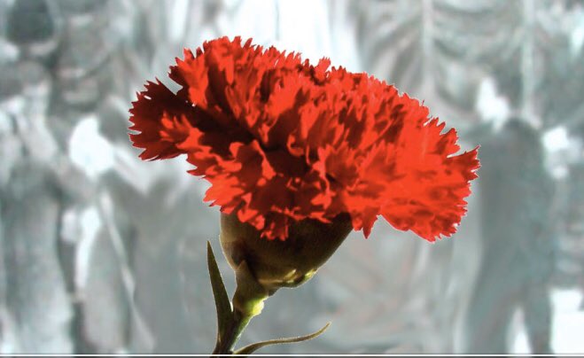 Só o pobo salva ao pobo #25deabrilsempre #TerraDaFraternidade