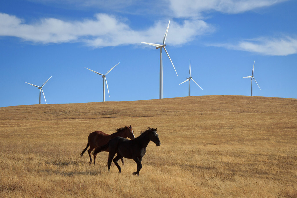 Do you and your horses share your yard with any sustainable energy sources? Do you see a difference?

#carbonhoofprint #sustainable #ecofriendly #EnergySolutions