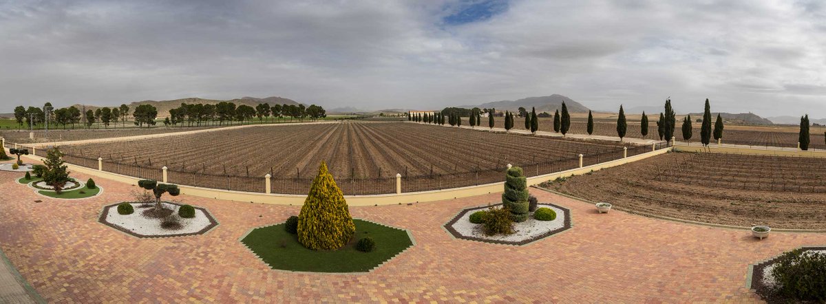 bodegasbleda's tweet photo. ¿Sientes la primavera desde la ventana 🤩? Aunque estés #EnCasa, puedes hacer planes diferentes para que se note que es #sábado✌️.
Haz #Enoturismo en #BodegasBleda a través de nuestro #Tourvirtual👉https://t.co/Oqb0ORxYCc https://t.co/e9tTvc25DY