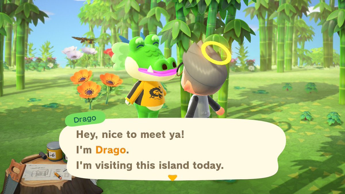 My first island I rand away from because it was Shari and I never want her back ever. BUT!! 2nd Island! Drago!! He’s a cutie but I can’t :c
