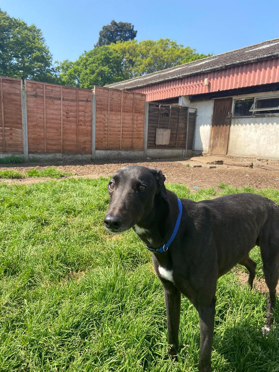 Hove Stadium tweet media