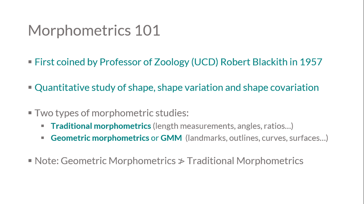 All three variables can quantified, analysed and understood through the discipline of morphometrics. First coined by Blackith in 1957, morphometrics is the quantitiative study of these variables. These can be divided into traditional and geometric morphometrics! 6/25
