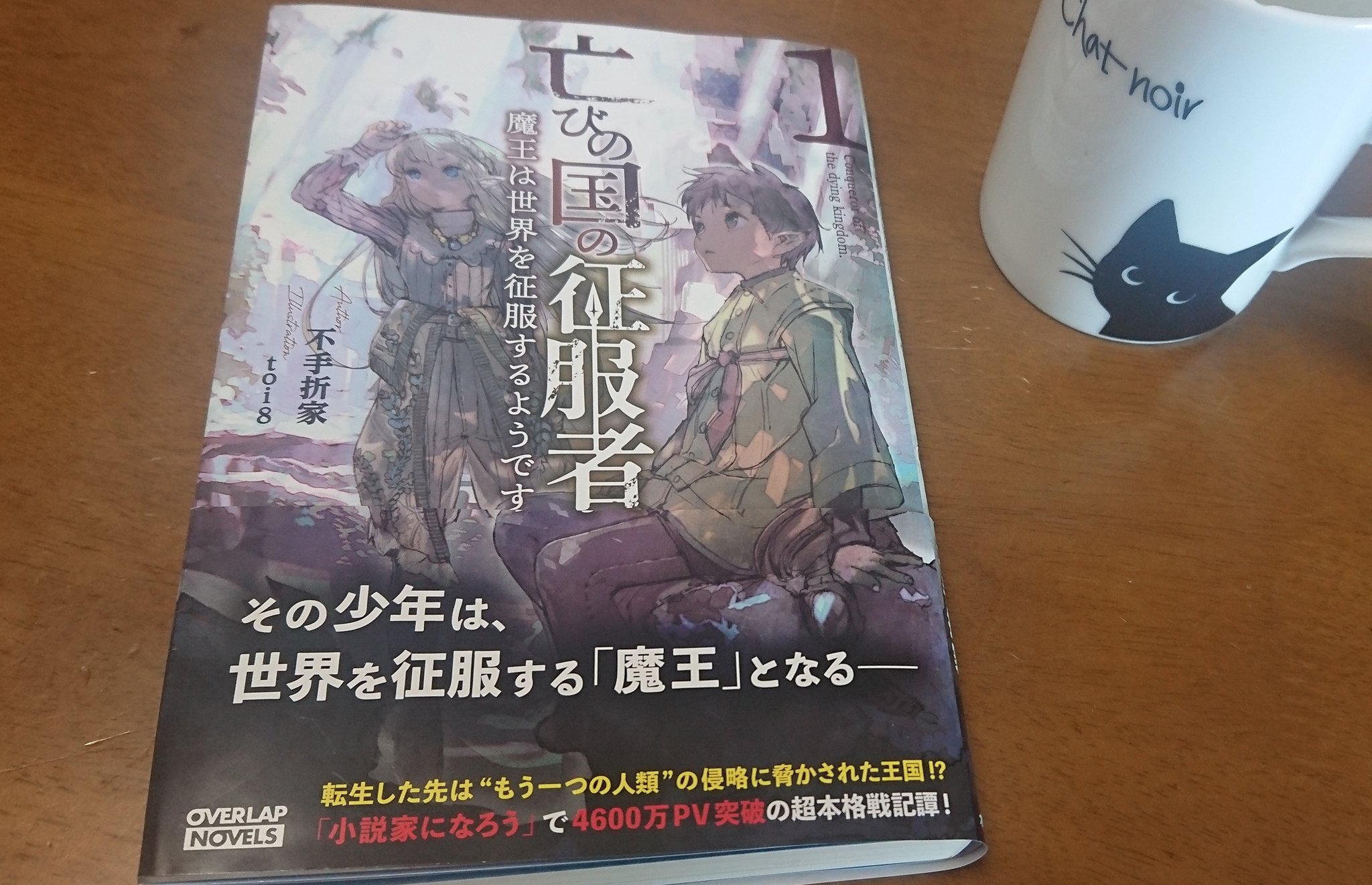 0059 亡びの国の征服者 魔王は世界を征服するようです 読了 この世界観の作り込みは設定厨にたまりません ようやく ようやく出版された 待ってました 物語の始まりにふさわしい 美しい表紙も嬉しい 亡びの国の征服者 Toi8