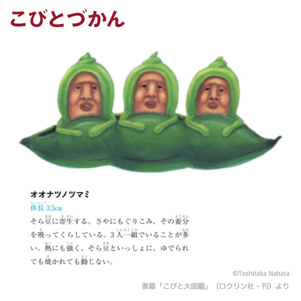 O Xrhsths こびとづかん公式 15周年 Sto Twitter 1日1コビト紹介 オオナツノツマミ 今日は そろそろ旬を迎える そら豆 に寄生するこちらのコビトをご紹介します 詳細は T Co Wr5nh9alqi Note こびとづかん T Co 1tnqgdogzl Twitter O Xrhsths こびとづかん公式 15周年 Sto Twitter 1日1コビト紹介 オオナツノツマミ 今日は そろそろ旬を迎える そら豆 に寄生するこちらのコビトをご紹介します 詳細は T Co Wr5nh9alqi Note こびとづかん T Co 1tnqgdogzl Twitter