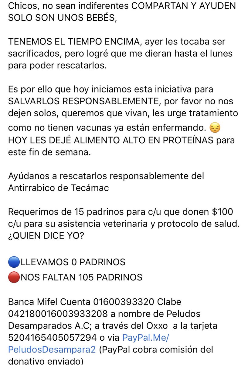 Chicos, no sean indiferentes COMPARTAN Y AYUDEN SOLO SON UNOS BEBÉS, 

TENEMOS EL TIEMPO ENCIMA, ayer les tocaba ser sacrificados, pero logré que me dieran hasta el lunes para poder rescatarlos.

Requerimos de 15 padrinos para c/u que donen $100 para su asistencia veterinaria...