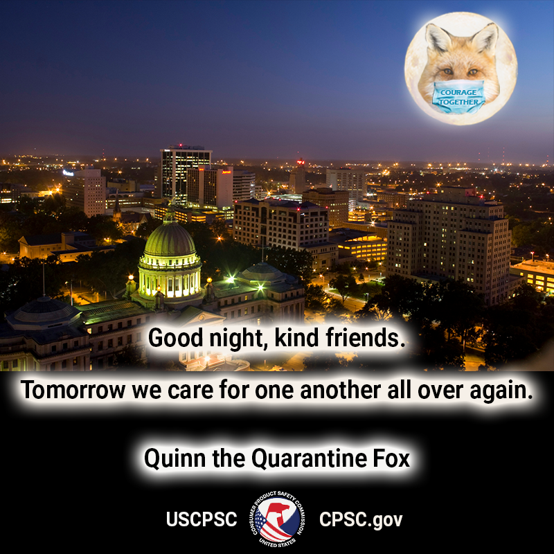 A fox in the moon wearing a face mask over Jackson, Mississippi. The text reads: Good night kind friends. Tomorrow we care for one another all over again. Quinn the Quarantine Fox.