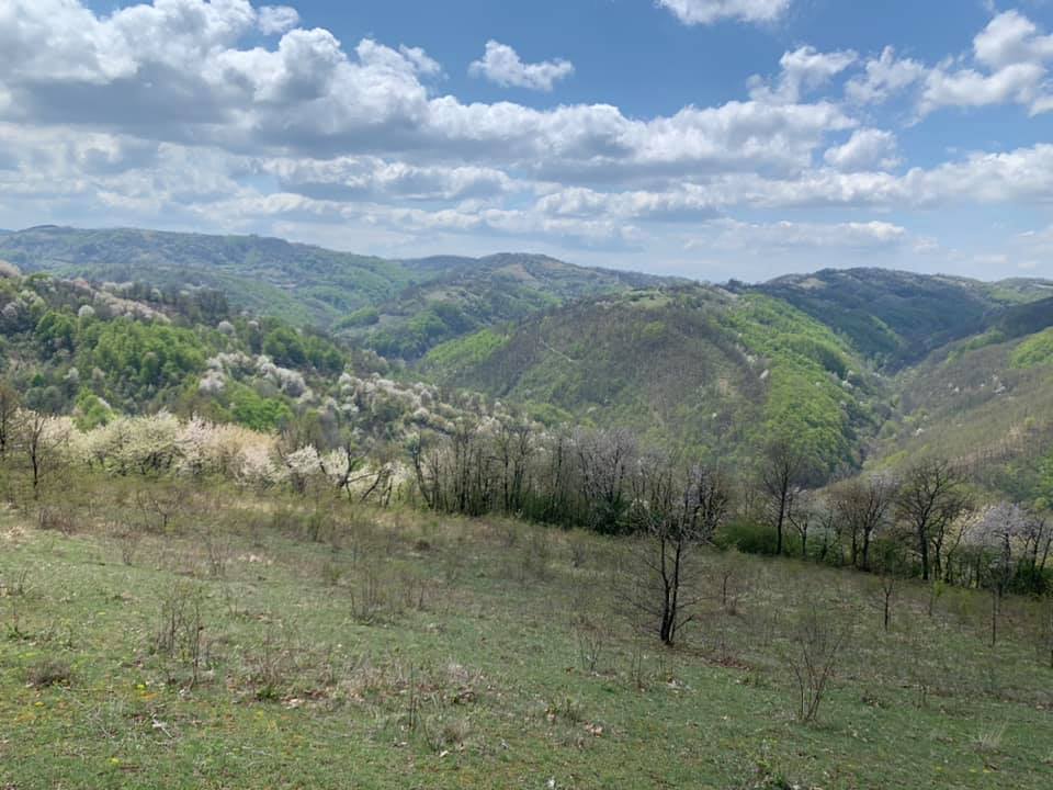 DuleneTurizam's tweet photo. Vidikovac Vis, selo Dulene 24.04.2020 

#KragujevačkiZlatibor #Dulene #Levač #GledićkePlanine https://t.co/DT4Deu4Kq5