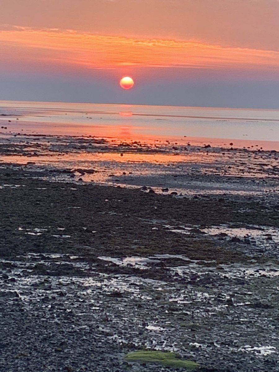 KerryKeris76's tweet image. Beauty in nature this morning❤️ #pinksunrise