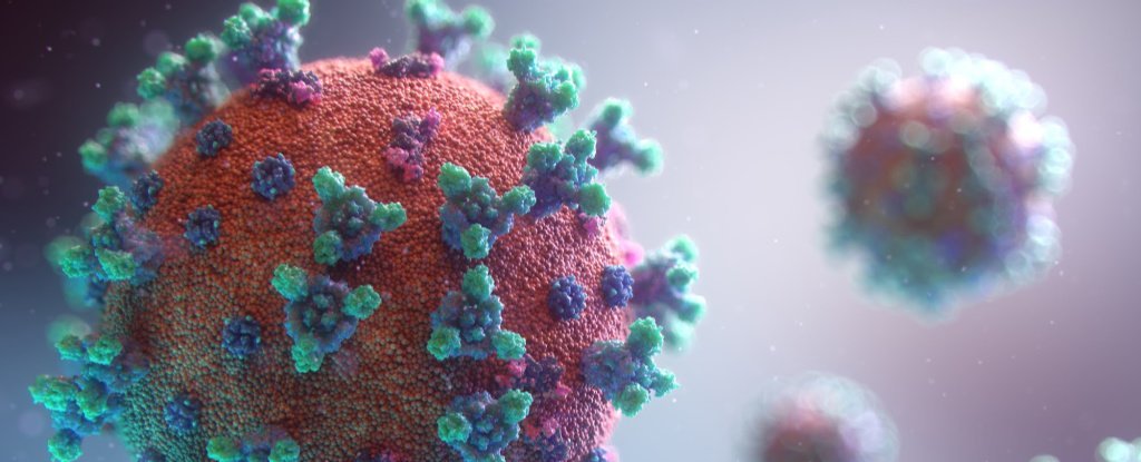 CaraSantaMaria's tweet photo. Scientists are tired of explaining why the COVID-19 virus was not made in a lab. The answer is still, no.
#CoronaVirus #NotLabMade #SyntheticChemicals #Virus
https://t.co/TQFdfQIDXF https://t.co/wWT1VNmz5c