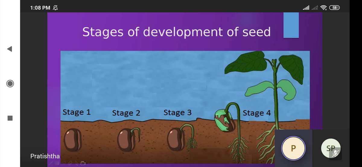 shardapullabha2's tweet photo. #RemoteLearningSession 24th April for Grade 3 Ss @KnpsIndia
by @PratishthaKapo2 @InduMehta10 About "Role of seeds in Plants" @pkdhillon08
@MicrosoftTeams @MicrosoftEDU @powerpoint @sabharwalpoona1 @harpreetmehta23 @Harvind29517214 @charuchhabra2 @nishajassal7 @meenaks09023755 https://t.co/S7Ti8g1veY