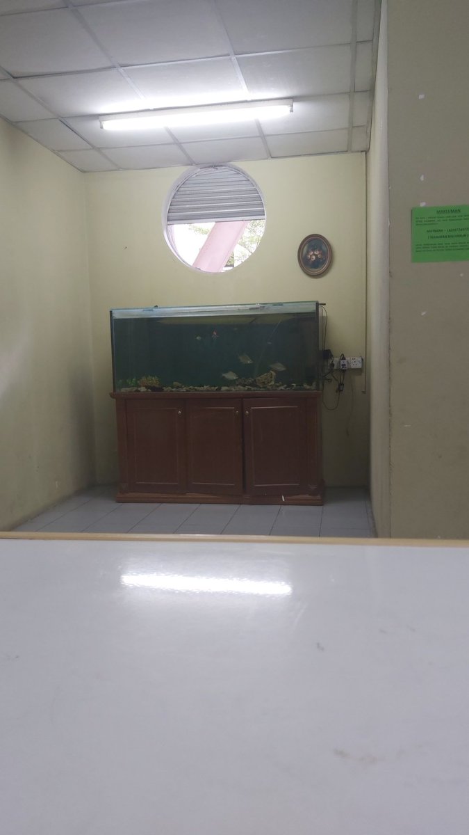 5danial5's tweet photo. ada sesiapa nak derma aquarium kt kita tak? nak 4ft ke atas. contoh seperti gambar ni. 🤭 https://t.co/dkwXvBdw0N