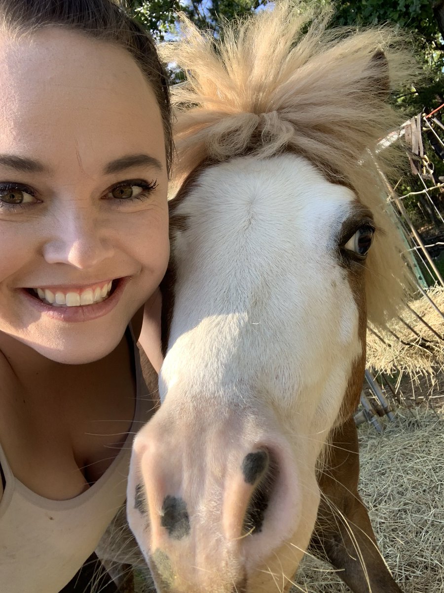 sjbouknight's tweet photo. ๐ถ Sheโs beauty, sheโs grace, wind is in her face ๐ถ
#horselife #pony #farmlife #farmlifebestlife #equine #quarantinecutie #beautyqueen #pets #petsinquarantine #horseface #princess #crazyhair #sheneedsahaircut #QuarantineLife #Quarantine https://t.co/c6mmEfeZTW
