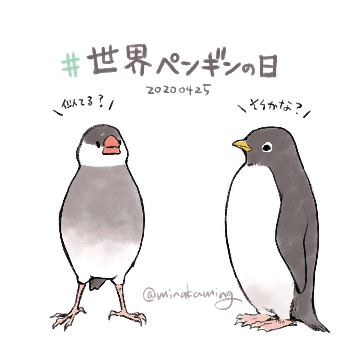 水上カオリ Twitter ನಲ ಲ 昔ピンガちゃん ピングーの と桜文鳥が似てると言ったら 友達に それは認めない と言われてしまった 世界 ペンギンの日 Buncho 文鳥 水上カオリ Twitter ನಲ ಲ 昔ピンガちゃん ピングーの と桜文鳥が似てると言ったら 友達に それは認めない と言われてしまった 世界 ペンギンの日 Buncho 文鳥