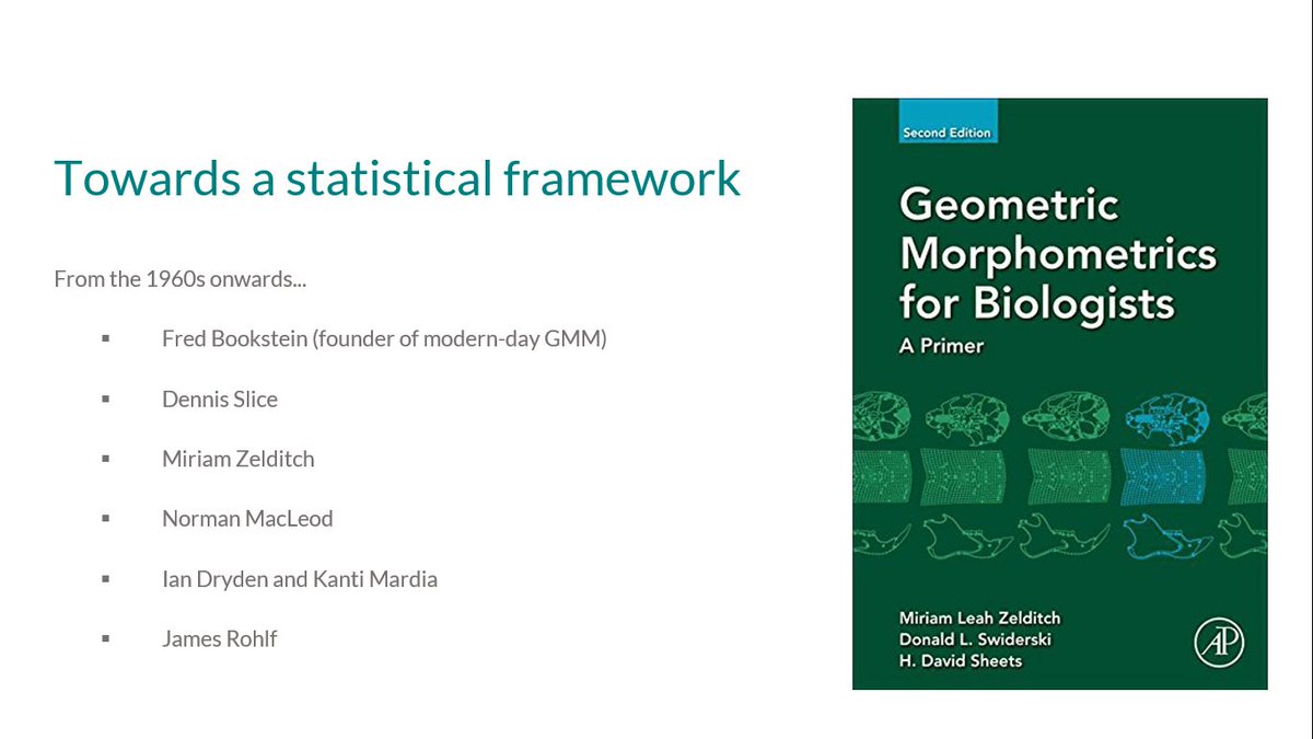 In the last fifty years, the adoption of a statistical framework (through the work of Bookstein and others) has revolutioned morphological studies of human and artefact shape and form. 13/25