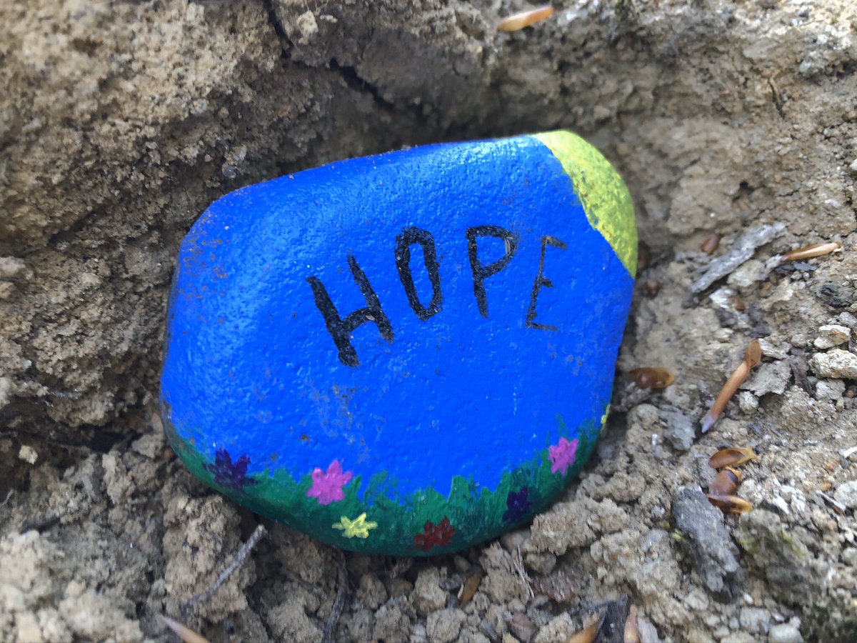 EETCEO's tweet photo. This pebble was spotted by my son on a recent walk in the local woods. It reminded me how important Hope is. Let’s always be Hope carriers #hopecarriers https://t.co/LuBJbZKk3z