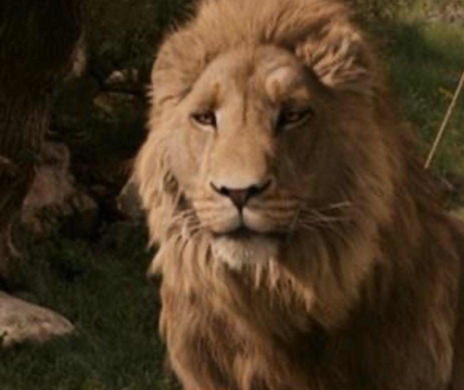 PLaurynnn's tweet photo. Y’all fiction deaths is sad and all😭 but y’all still have yet to mention Aslan😭💔💔 This one hit Hard😭💔🤧🤧 #fictionaldeath https://t.co/EZkSLlCgo8