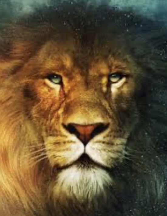 PLaurynnn's tweet photo. Y’all fiction deaths is sad and all😭 but y’all still have yet to mention Aslan😭💔💔 This one hit Hard😭💔🤧🤧 #fictionaldeath https://t.co/EZkSLlCgo8