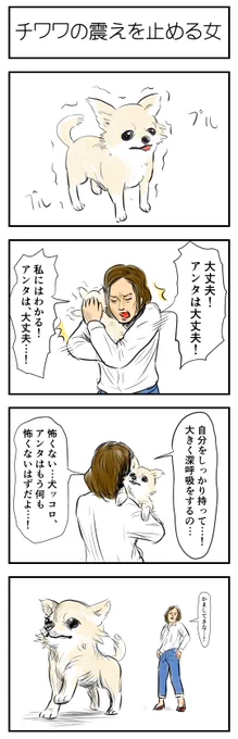 チワワの震えを止める女 