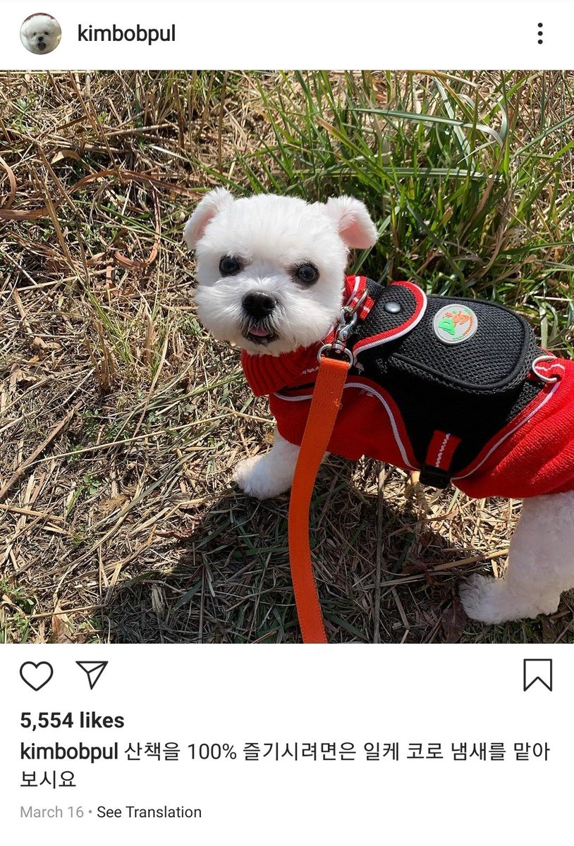 🐶