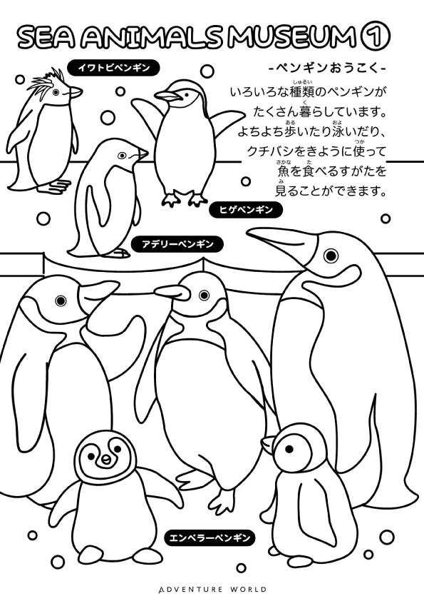 アドベンチャーワールド 公式 ぬりえ 第三弾は 本日 世界ペンギンの日 にちなみ ペンギンのぬりえもご用意しております ぬりえをして出来上がった絵を写真に撮って おうち動物園 を付けて返信 投稿してください 好きな色で自由にお楽しみ