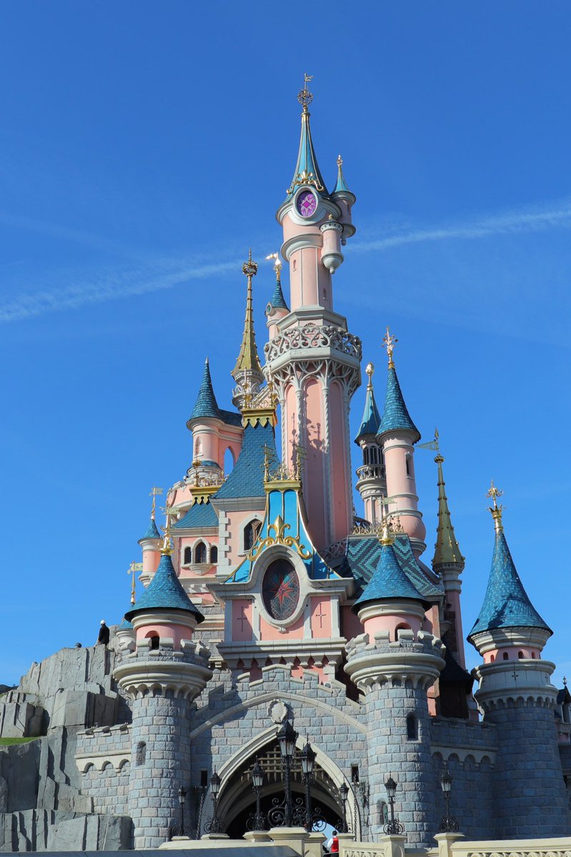 こんにちは！
Dカレではミーティング後にみんなでご飯を食べに行ったりすることもあります。先日zoomミーティング後にそのままオンライン飲み会をしたりもしました🍻
Dカレ内でも交流できる機会がたくさんあるので、みなさんきっとすぐに仲良くなれますよ✨
#ディズニーサークル #ディズニー