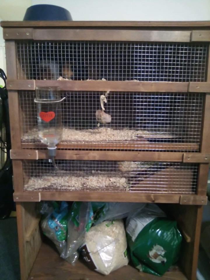 Dr_RussellEvans's tweet photo. Kyle Crooks (8th Grade @NorthBeachHyaks Student) completed a repurpose project this week! 

Kyle disassembled a bookshelf, stained and sealed it to complete a new home for his Guinea Pigs! 

Way to go Kyle!! Thanks for sharing! #NorthBeachNation #HYAKStrong #SEAHAWKStrong https://t.co/orocPvaF8X