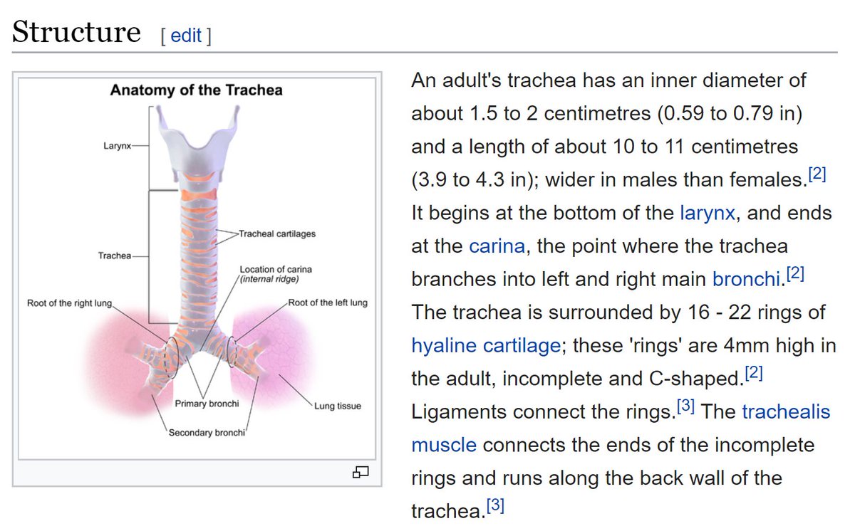 Right, so we are satisfied that we can inactivate virus particles in the epithelial fluid of the trachea.