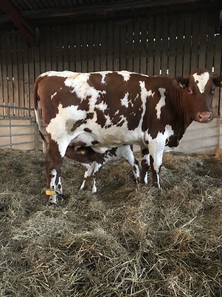 John Newman tweet media