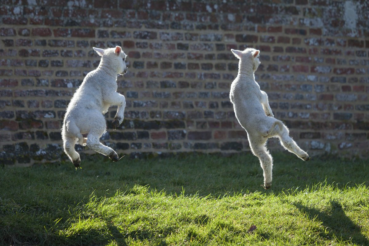 Does anyone else feel like jumping for joy with each new sign of spring?