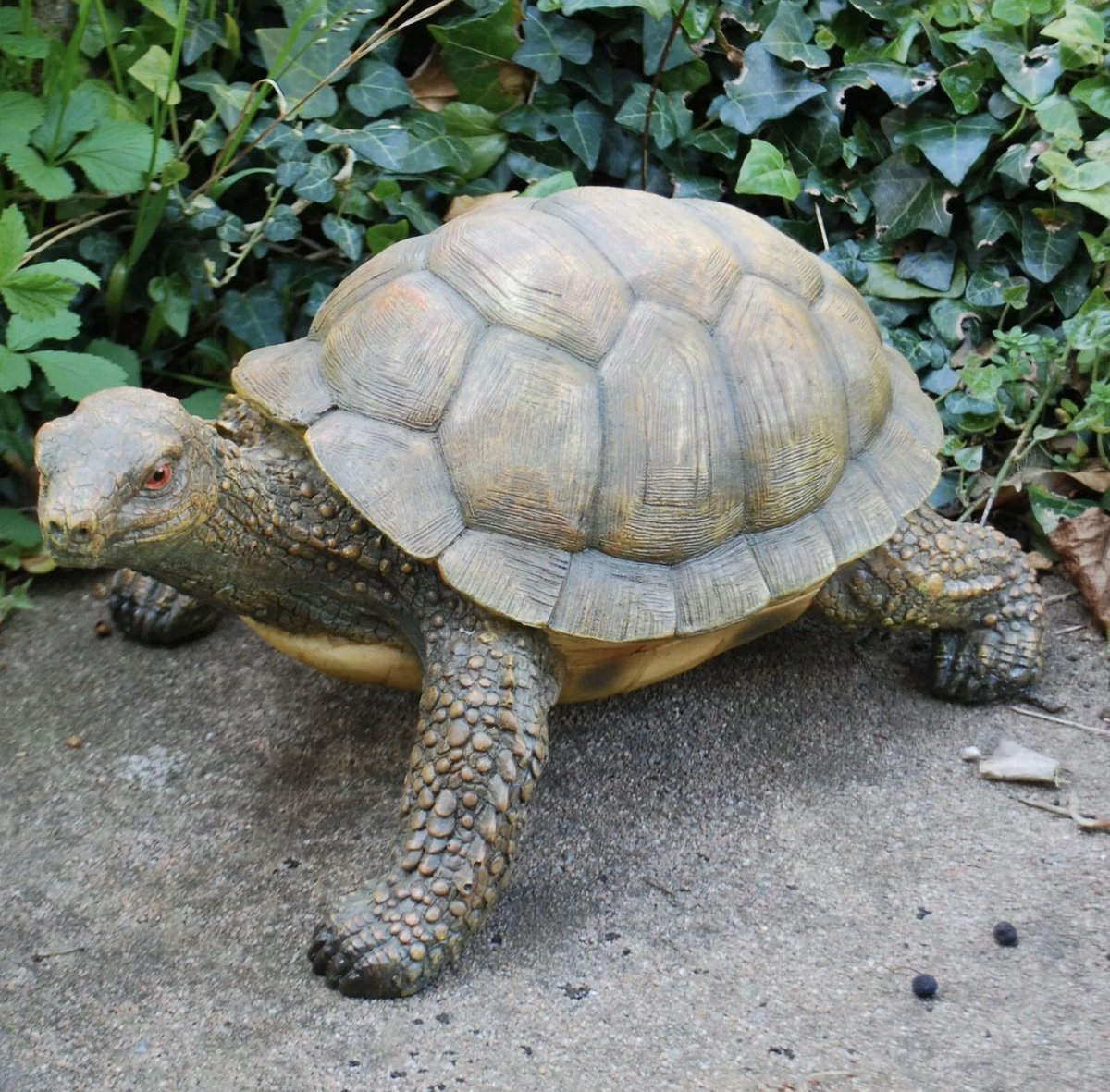 ferncrestltd's tweet photo. New in store this week this fantastic Tortoise Garden Ornament, he’s really detailed and we love him https://t.co/Jy2HyklmkH https://t.co/J5L2fWCJ5u