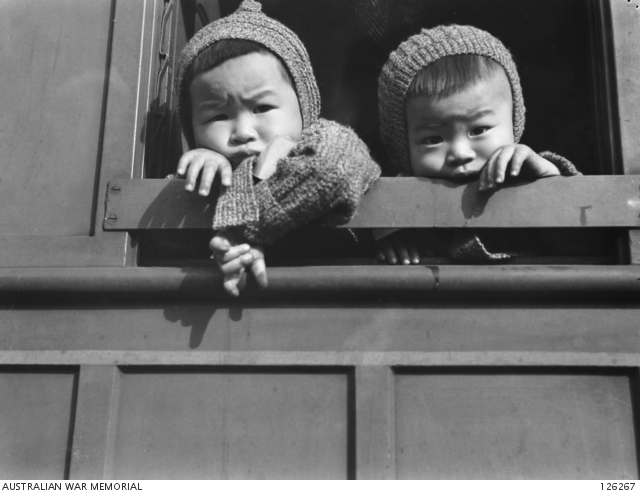 That is why  #Remembrance is important for both  #Australia &  #Taiwan. It fortifies our commitments to  #peace &  #justice by reminding us of the alternative. It ensures future genocides, unjust wars & atrocities do not occur again.  #LestWeForget  . Oh and look cute Formosan babies-