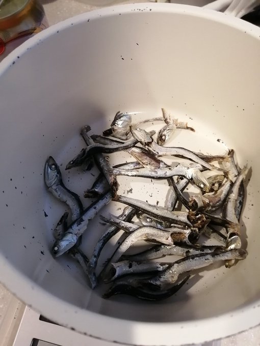 煮干しの食べ過ぎは体に悪い ダイエットのおやつには向いている お食事ウェブマガジン グルメノート