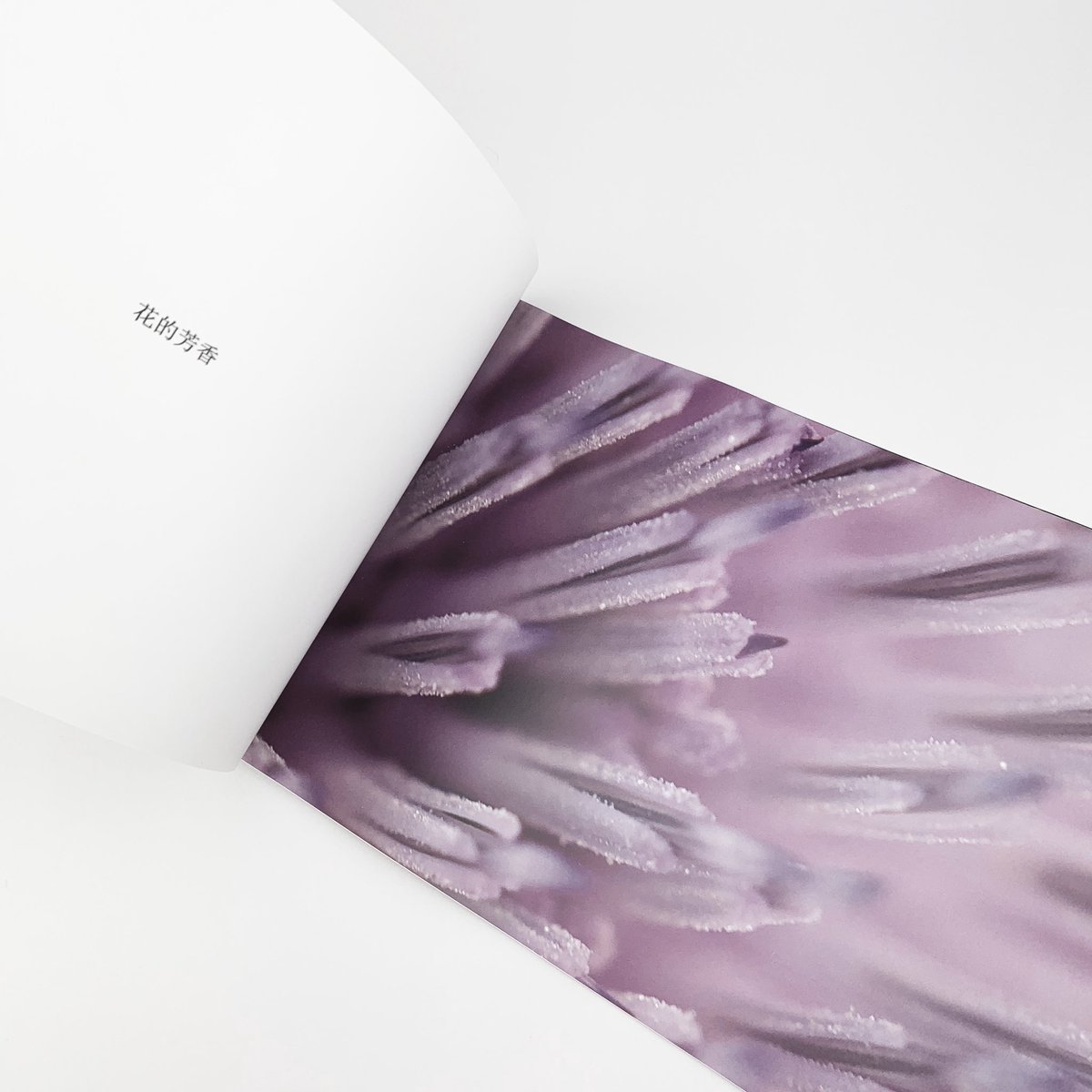 RosaObra's tweet photo. Identidad visual corporativa y folleto para “Iberchem, fragrances of nature”.

#identidadvisual #identidadvisualcorporativa #diseñoweb #diseñografico #graphicdesign #fotografía #murcia #diseñomurcia #estudiorosadelaobra #diseño #design https://t.co/Ofhjkj5fF0