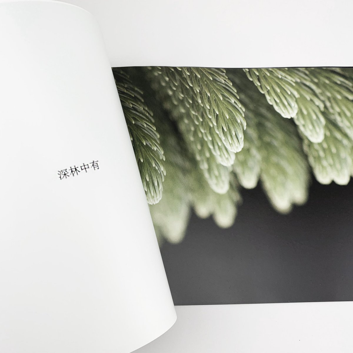 RosaObra's tweet photo. Identidad visual corporativa y folleto para “Iberchem, fragrances of nature”.

#identidadvisual #identidadvisualcorporativa #diseñoweb #diseñografico #graphicdesign #fotografía #murcia #diseñomurcia #estudiorosadelaobra #diseño #design https://t.co/Ofhjkj5fF0